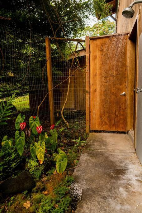 Jungle Haven Ocean Front Eco Villa On Fruit Farm Pahoa Bagian luar foto