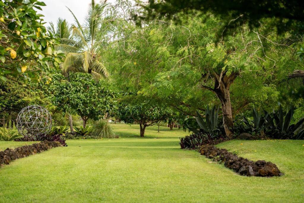 Jungle Haven Ocean Front Eco Villa On Fruit Farm Pahoa Bagian luar foto