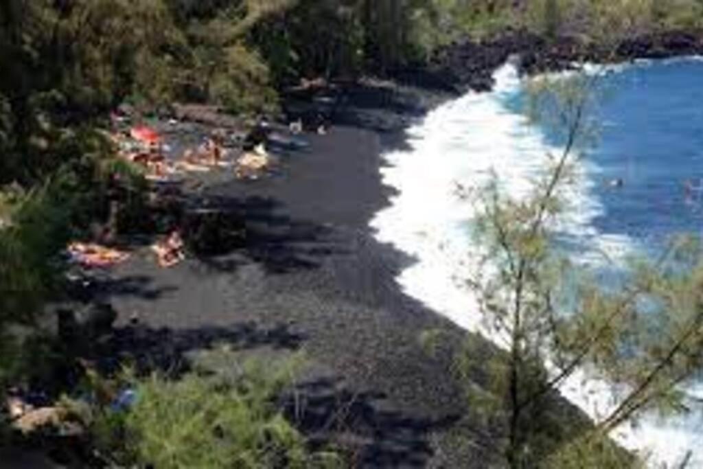 Jungle Haven Ocean Front Eco Villa On Fruit Farm Pahoa Bagian luar foto