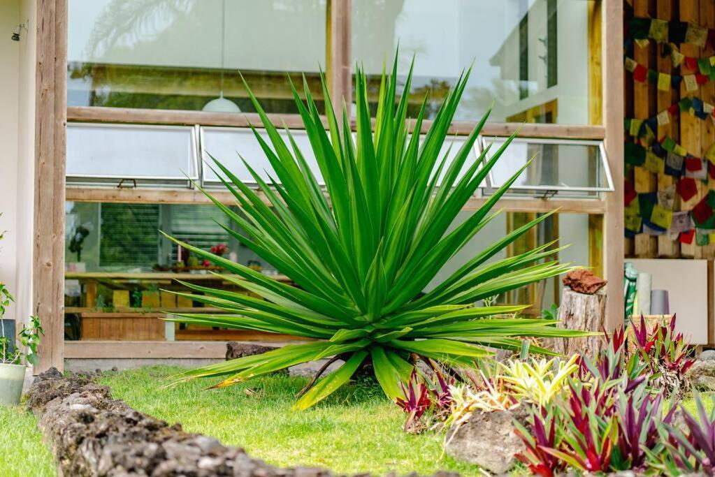 Jungle Haven Ocean Front Eco Villa On Fruit Farm Pahoa Bagian luar foto