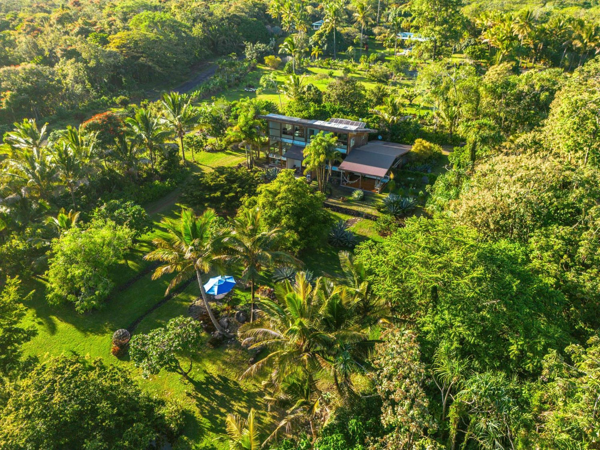 Jungle Haven Ocean Front Eco Villa On Fruit Farm Pahoa Bagian luar foto