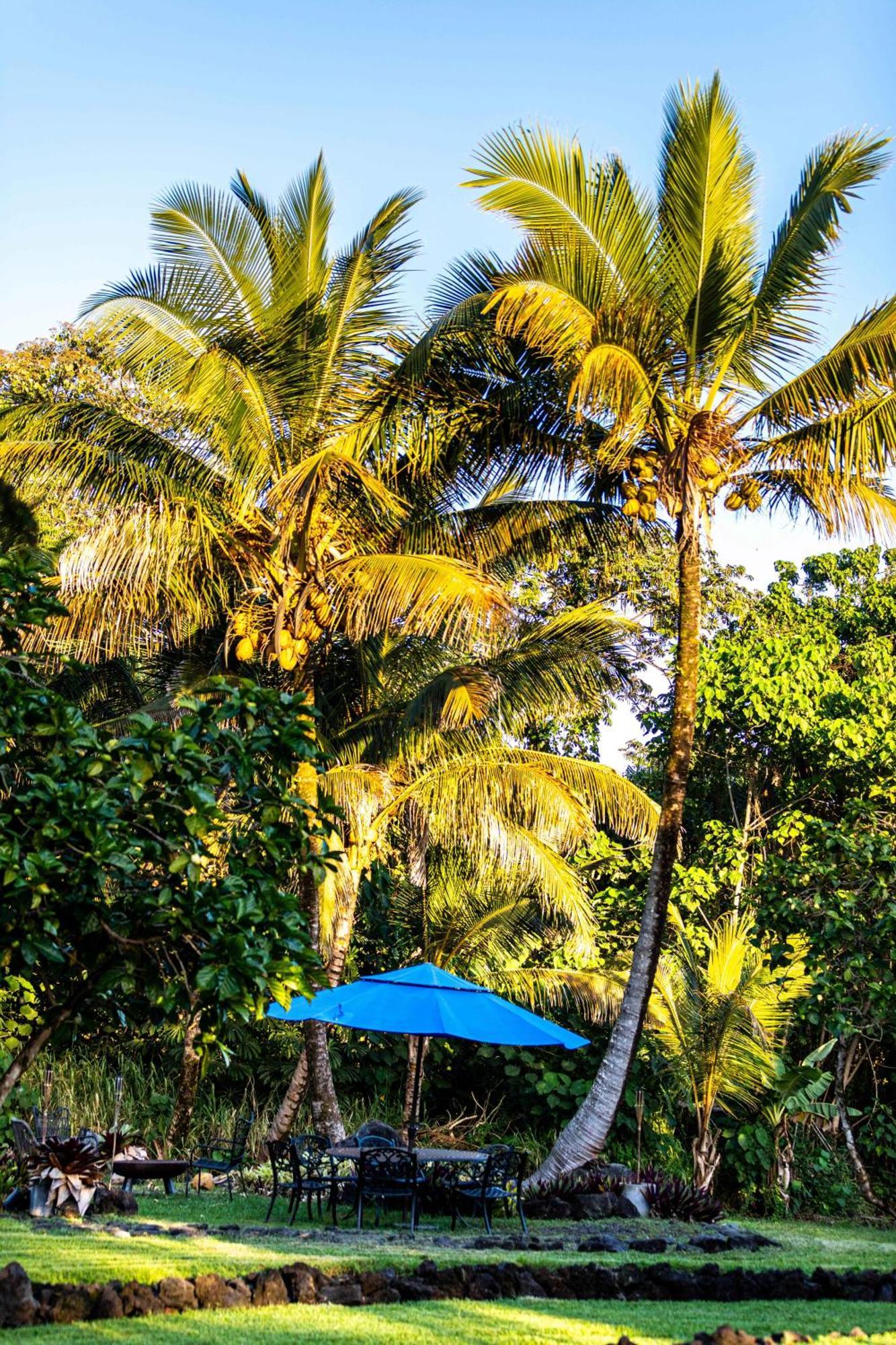 Jungle Haven Ocean Front Eco Villa On Fruit Farm Pahoa Bagian luar foto