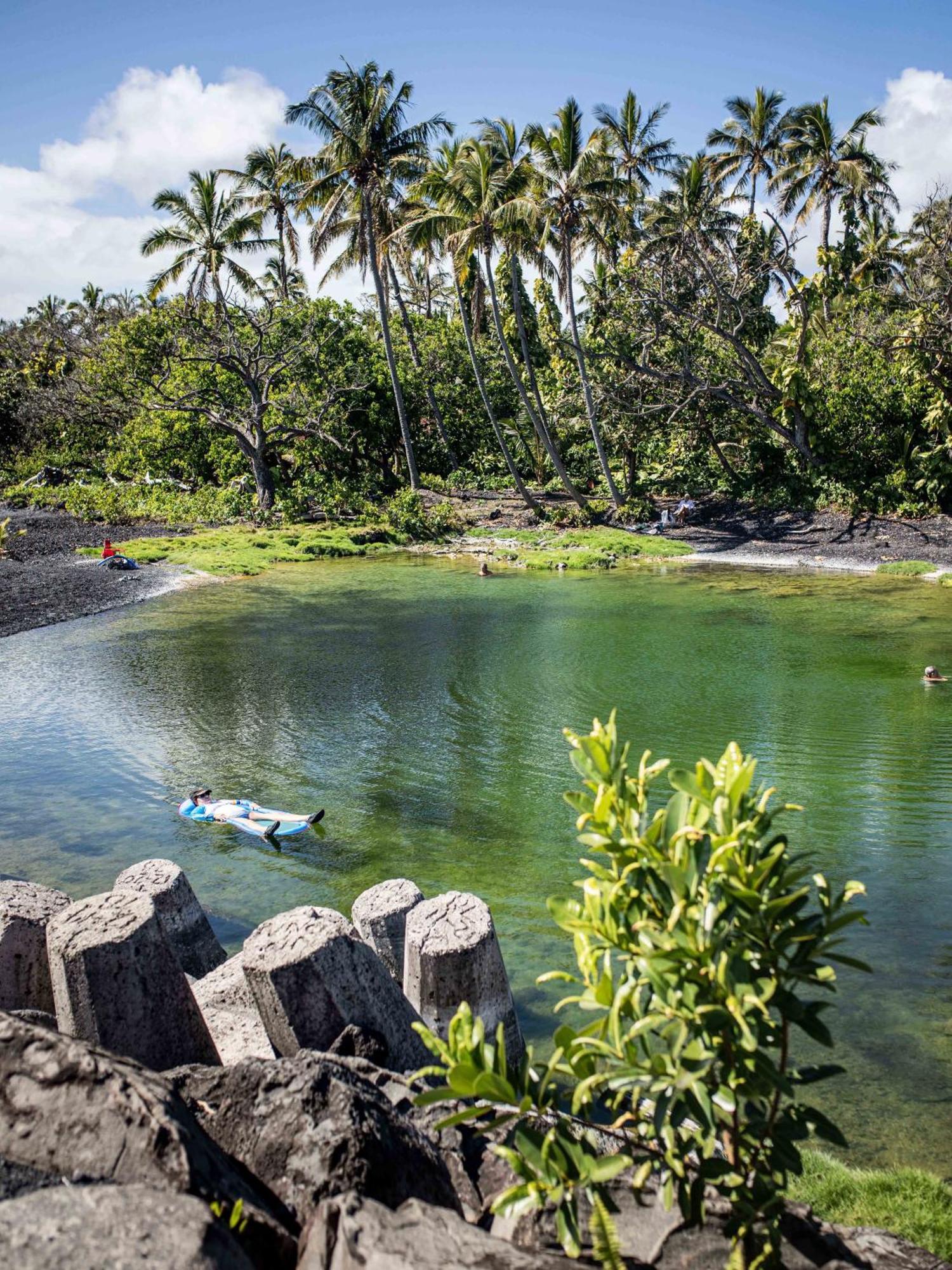 Jungle Haven Ocean Front Eco Villa On Fruit Farm Pahoa Bagian luar foto