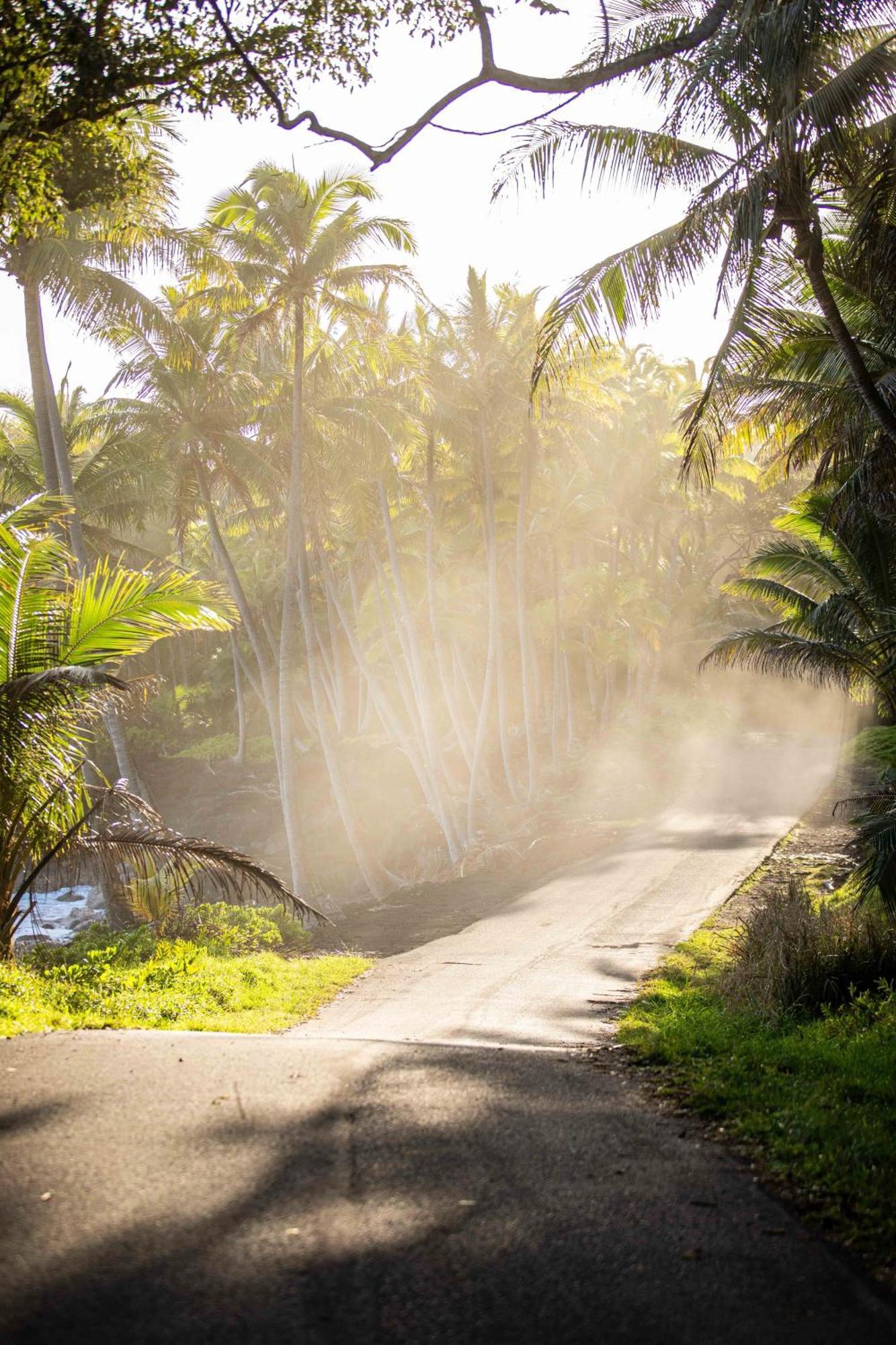 Jungle Haven Ocean Front Eco Villa On Fruit Farm Pahoa Bagian luar foto